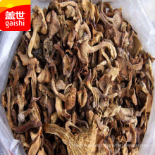 wild mushroom-dried mushroom